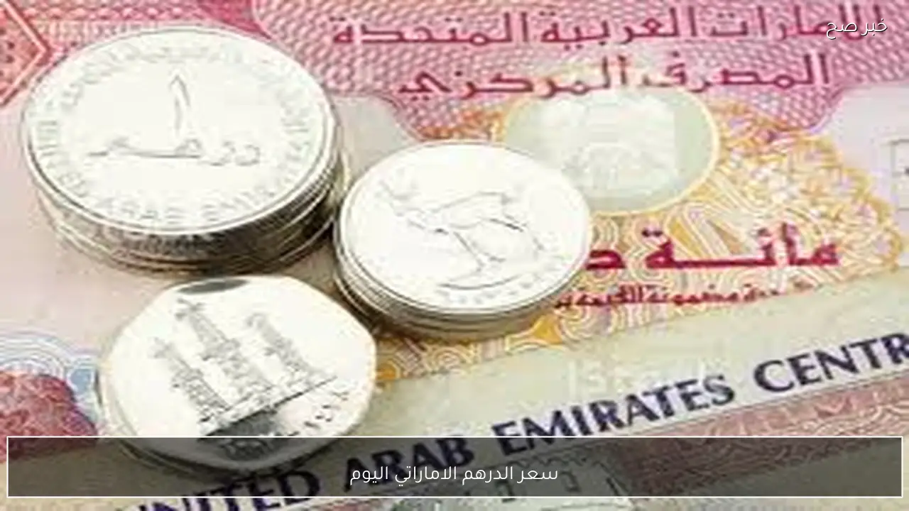 تحديث لحظي.. سعر الدرهم الاماراتي اليوم مقابل الجنيه المصري في البنوك المصرية والسوق السوداء