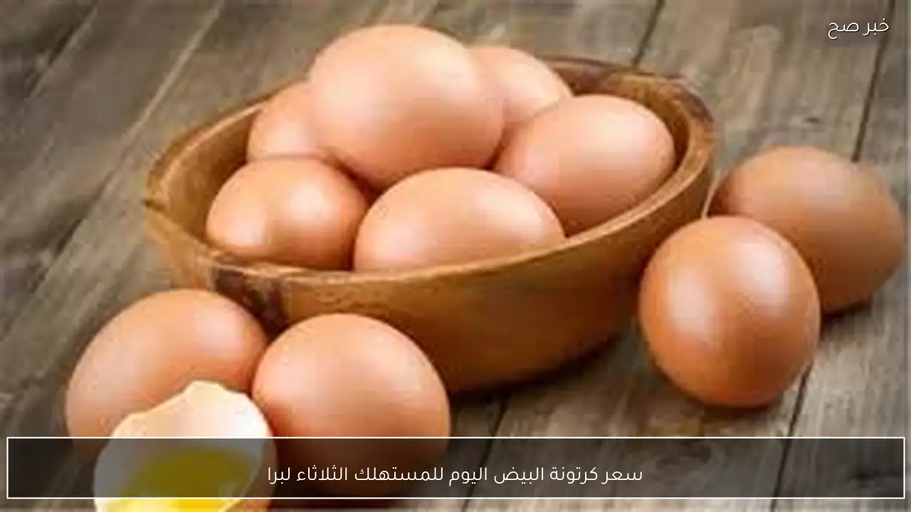 سعر كرتونة البيض اليوم للمستهلك الثلاثاء فبراير 2026 بالاسواق المحلية وبورصة الدواجن