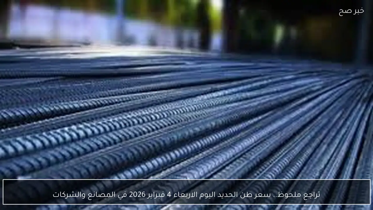 تراجع ملحوظ.. سعر طن الحديد اليوم الاربعاء 4 فبراير 2026 في المصانع والشركات الكبري