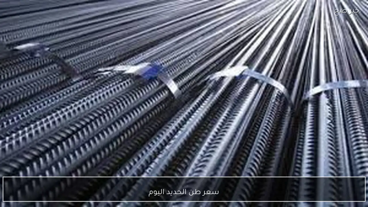 لو هتبني.. سعر طن الحديد اليوم الخميس 5 فبراير 2026 في الشركات والمصانع وفق آخر تحديث