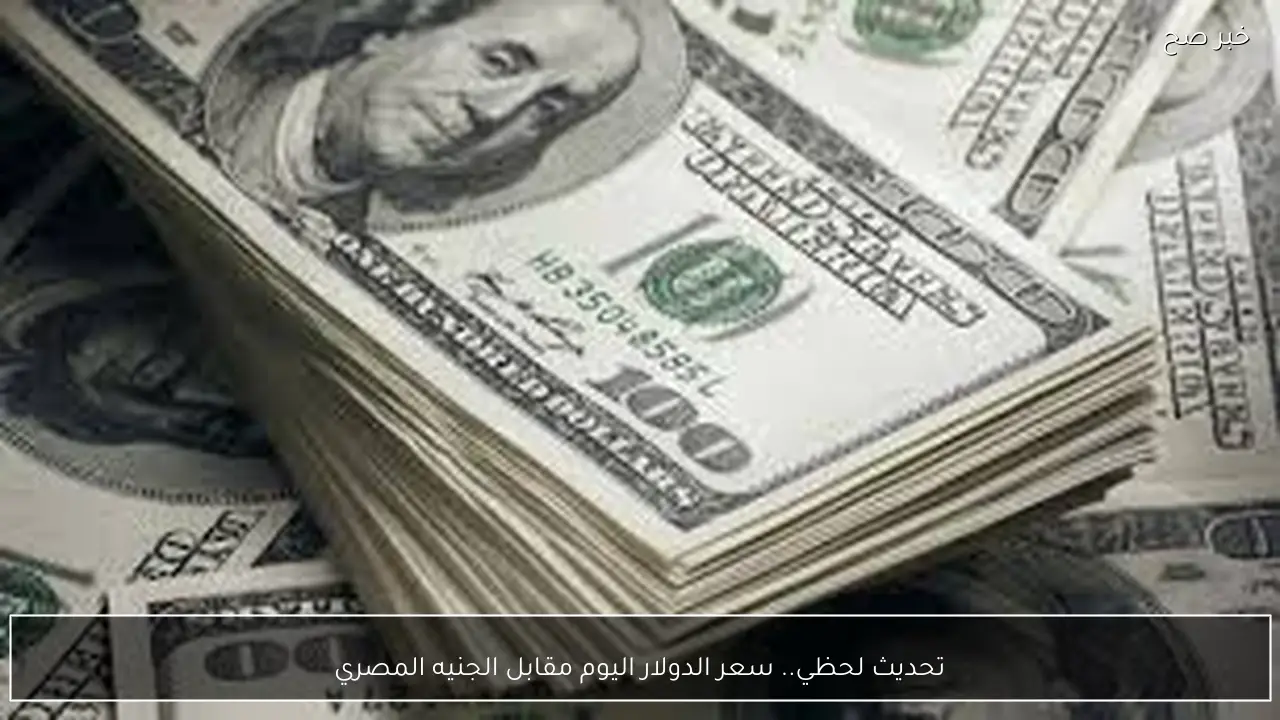 تحديث لحظي.. سعر الدولار اليوم مقابل الجنيه المصري السبت 7-2-2026 بالبنوك والسوق السوداء