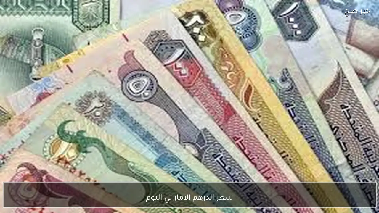 مباشر الآن.. سعر الدرهم الاماراتي اليوم مقابل الجنيه المصري بالبنوك والسوق السوداء