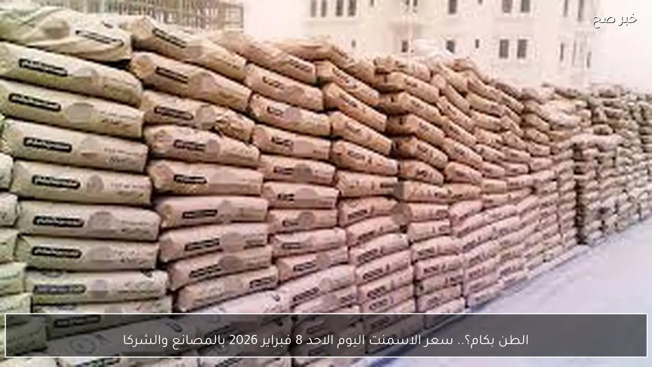 الطن بكام؟.. سعر الاسمنت اليوم الاحد 8 فبراير 2026 بالمصانع والشركات المصرية وفق آخر تحديث