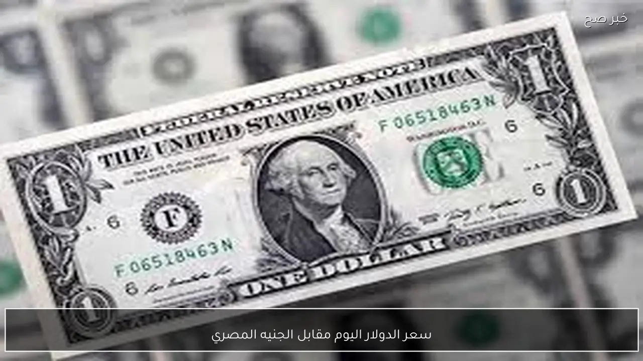ارتفاع سعر الدولار اليوم مقابل الجنيه المصري الثلاثاء 10 فبراير 2026 في البنوك المصرية