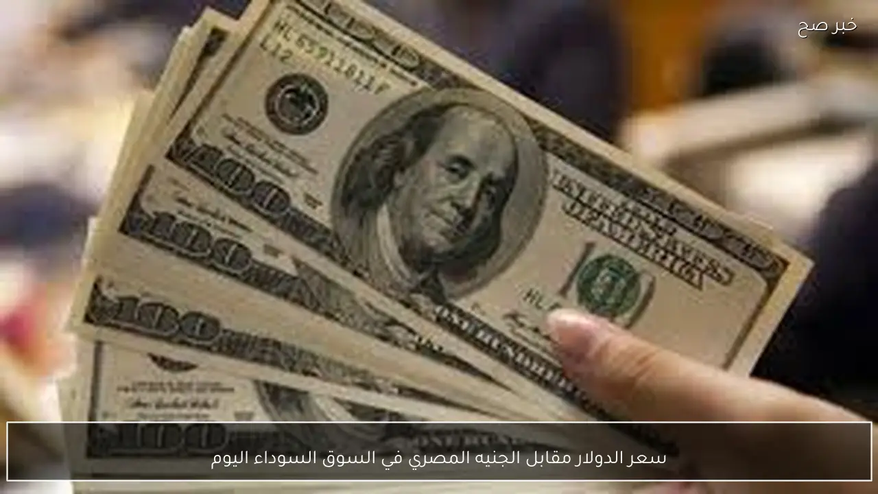 “آخر تحديث”.. سعر الدولار مقابل الجنيه المصري في السوق السوداء اليوم الجمعة 13-2-2026