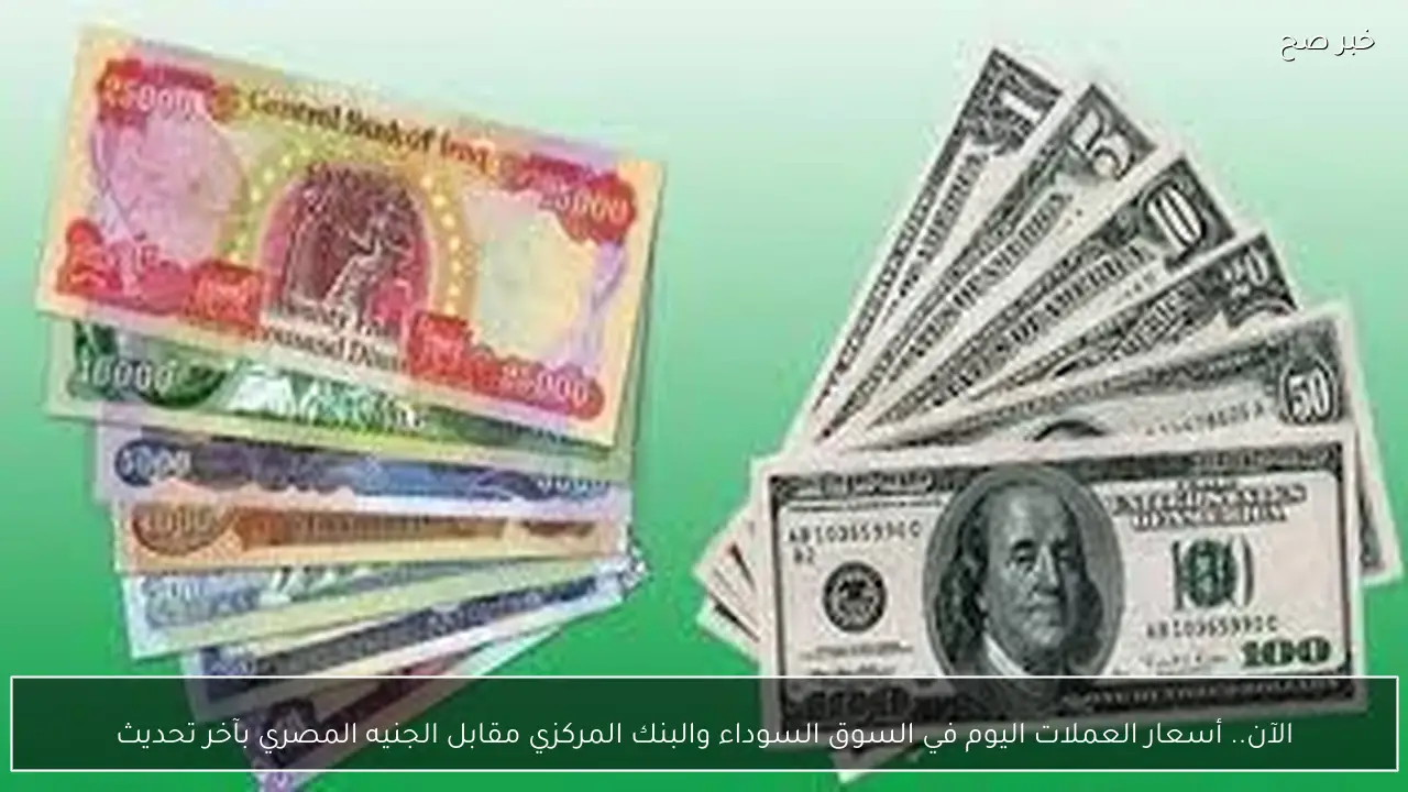 الآن.. أسعار العملات اليوم في السوق السوداء والبنك المركزي مقابل الجنيه المصري بآخر تحديث
