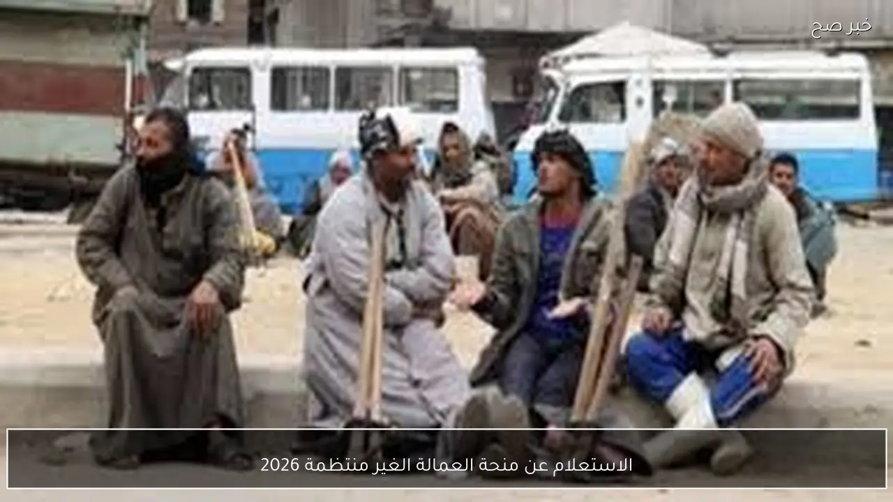 متاح هُنا.. الاستعلام عن منحة العمالة الغير منتظمة 2026 بالرقم القومي عبر موقع وزارة العمل والفئات المستحقة