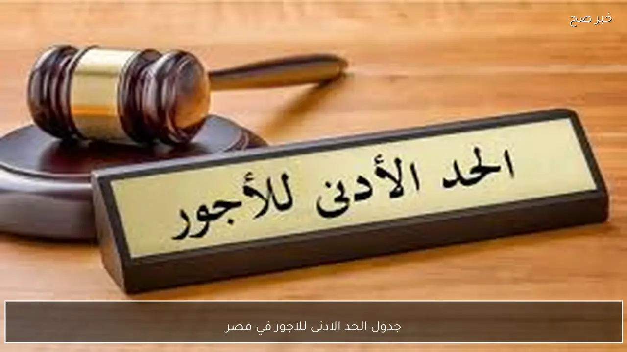 وزارة المالية تُعلن جدول الحد الادنى للاجور 2026 في مصر لجميع الدرجات الوظيفية