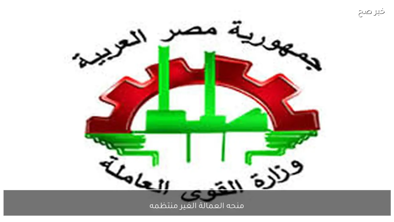 منحه العمالة الغير منتظمه 2026.. مواعيد الصرف وخطوات التسجيل إلكترونيًا عبر موقع وزارة العمل