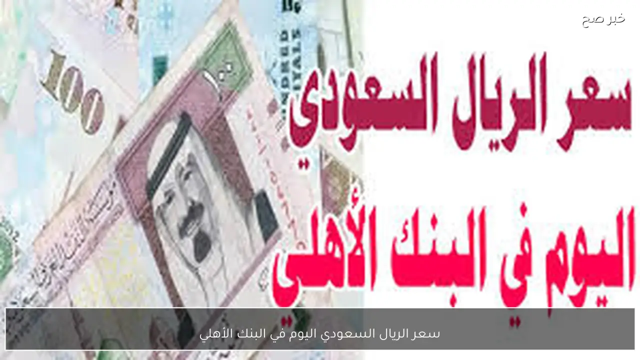 الآن.. سعر الريال السعودي اليوم في البنك الأهلي الاربعاء 25-2-2026 مقابل الجنيه المصري وفق آخر تحديث