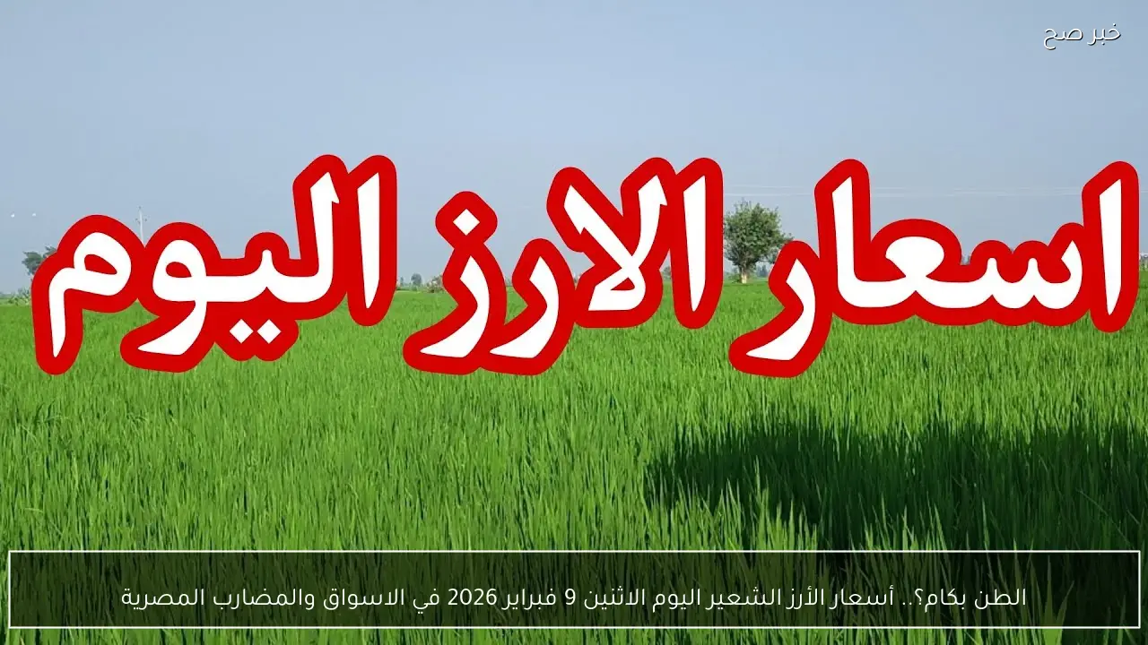 الطن بكام؟.. أسعار الأرز الشعير اليوم الاثنين 9 فبراير 2026 في الاسواق والمضارب المصرية