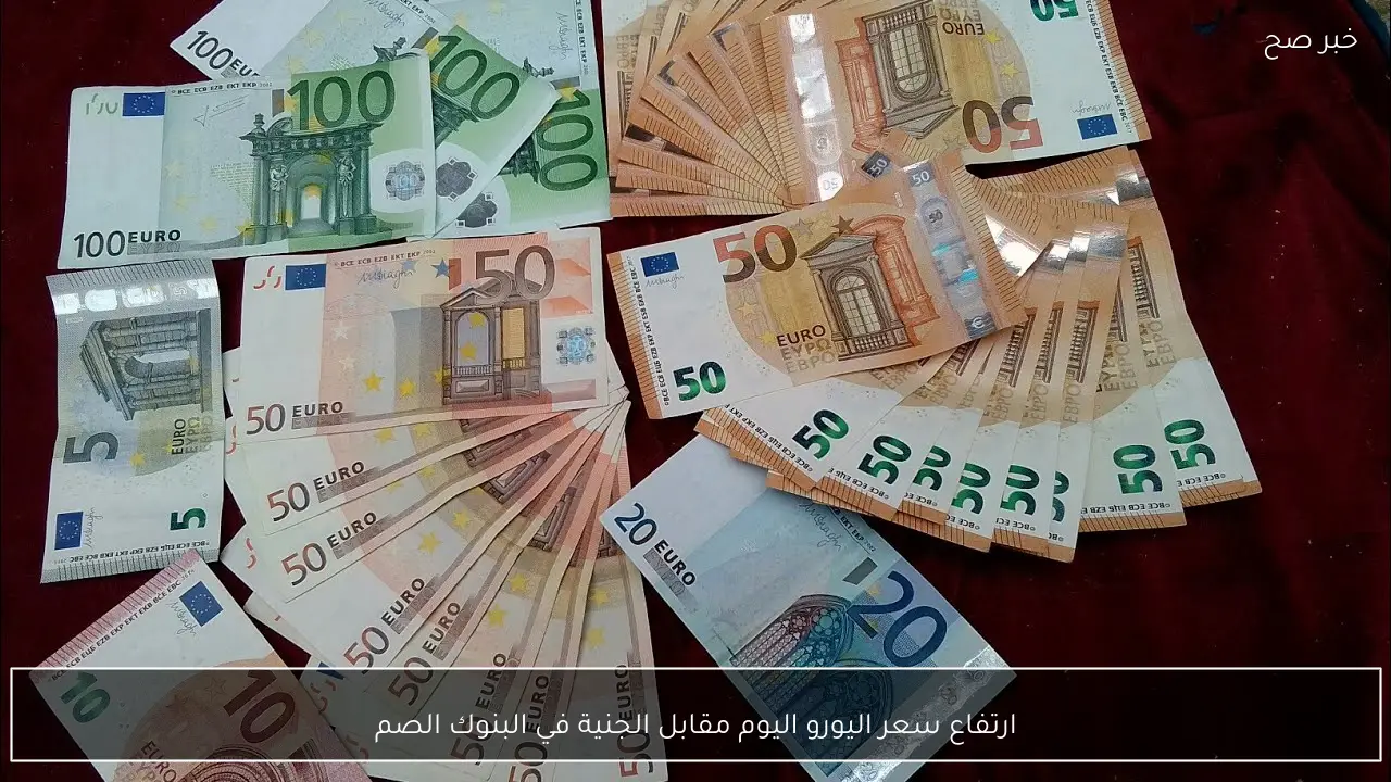 ارتفاع سعر اليورو اليوم مقابل الجنية في البنوك المصرية والسوق الغير رسمية