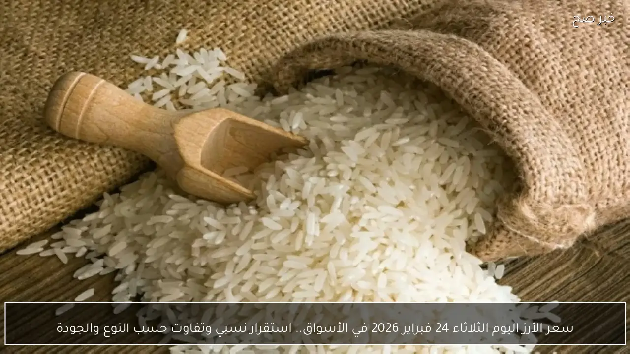 سعر الأرز اليوم الثلاثاء 24 فبراير 2026 في الأسواق.. استقرار نسبي وتفاوت حسب النوع والجودة