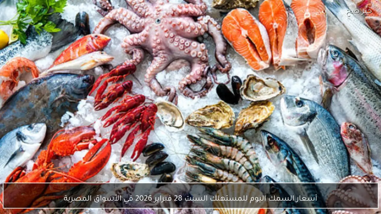 أسعار السمك اليوم للمستهلك السبت 28 فبراير 2026 في الأسواق المصرية
