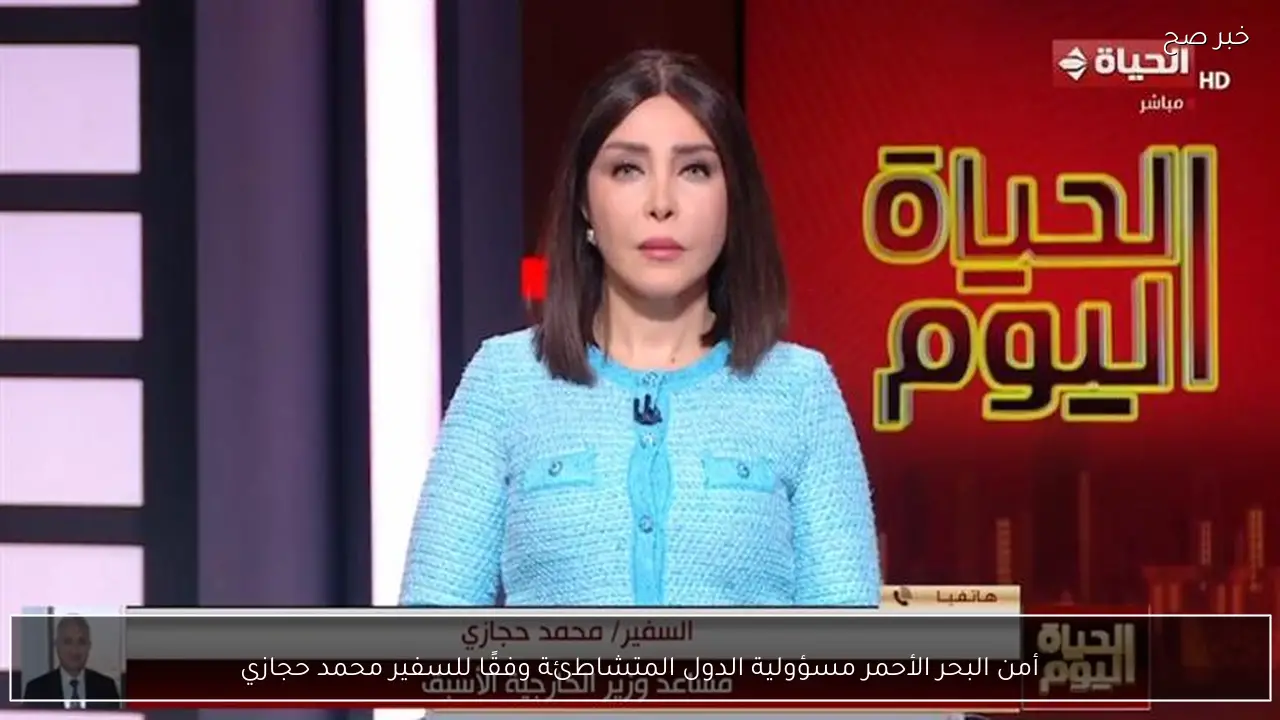 أمن البحر الأحمر مسؤولية الدول المتشاطئة وفقًا للسفير محمد حجازي