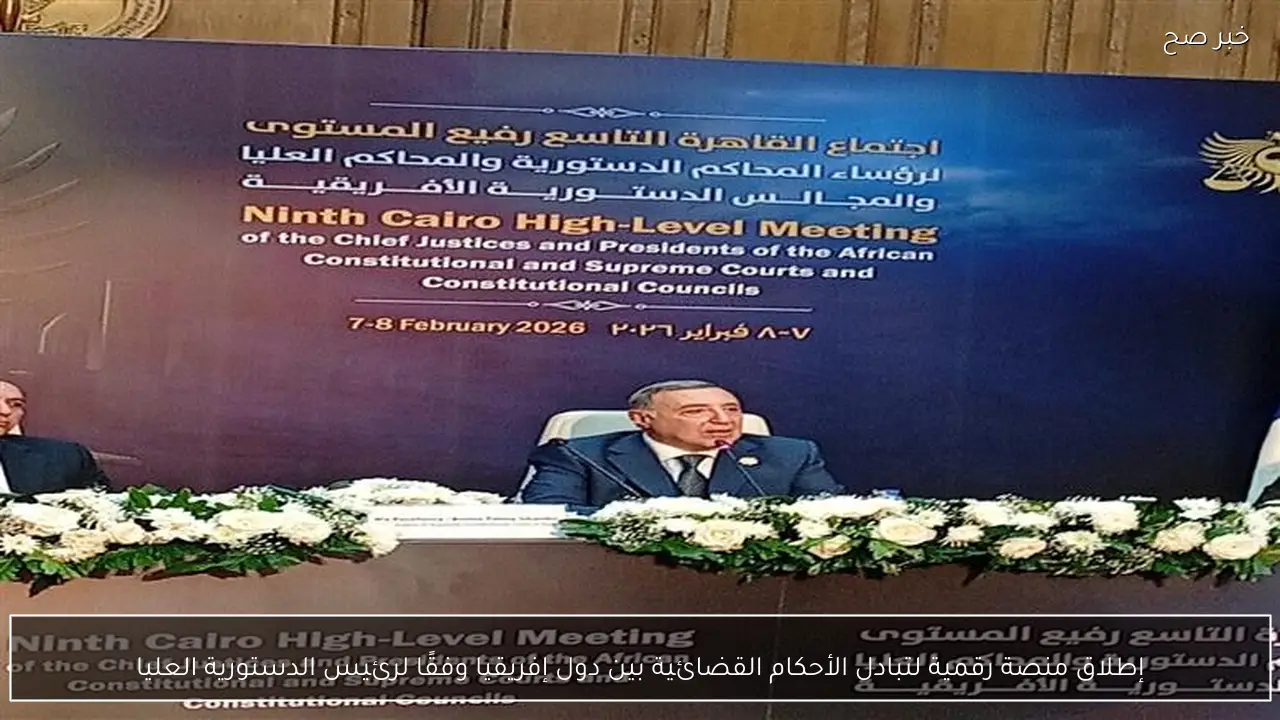 إطلاق منصة رقمية لتبادل الأحكام القضائية بين دول إفريقيا وفقًا لرئيس الدستورية العليا