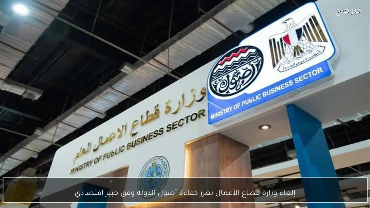 إلغاء وزارة قطاع الأعمال يعزز كفاءة أصول الدولة وفق خبير اقتصادي