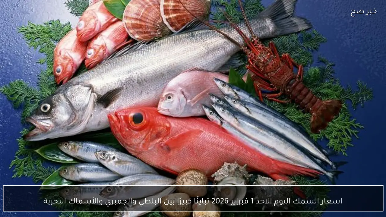 اسعار السمك اليوم الاحد 1 فبراير 2026 تباينًا كبيرًا بين البلطي والجمبري والأسماك البحرية