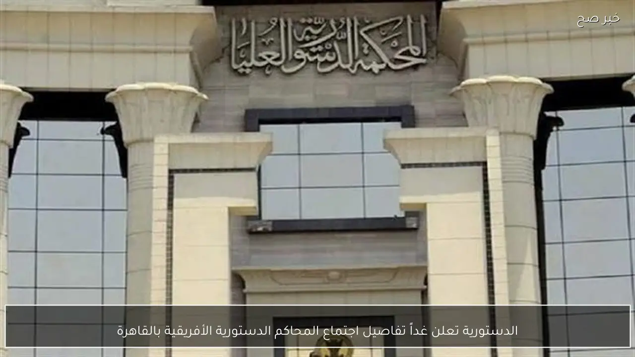 الدستورية تعلن غداً تفاصيل اجتماع المحاكم الدستورية الأفريقية بالقاهرة