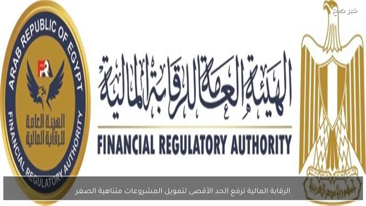 الرقابة المالية ترفع الحد الأقصى لتمويل المشروعات متناهية الصغر