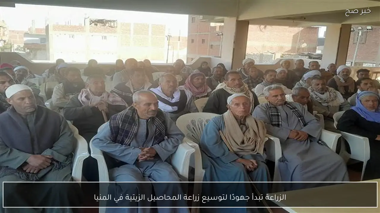 الزراعة تبدأ جهودًا لتوسيع زراعة المحاصيل الزيتية في المنيا