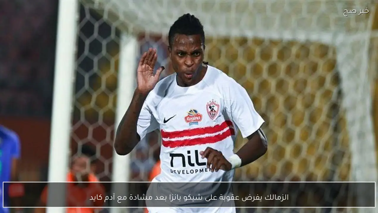 الزمالك يفرض عقوبة على شيكو بانزا بعد مشادة مع آدم كايد