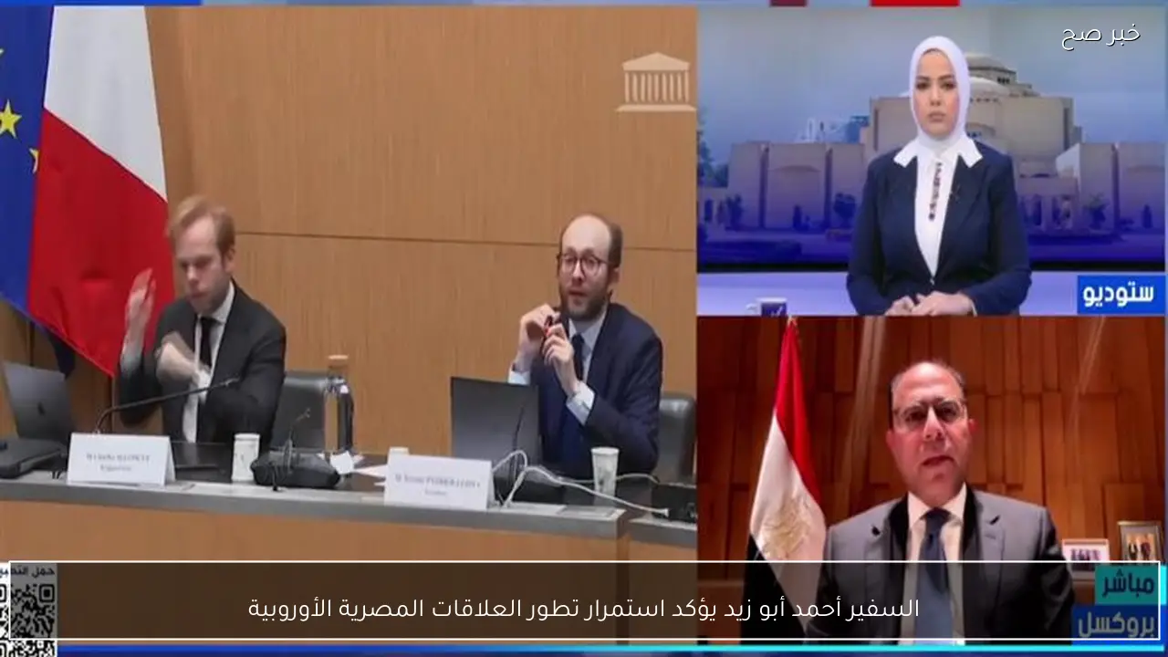 السفير أحمد أبو زيد يؤكد استمرار تطور العلاقات المصرية الأوروبية