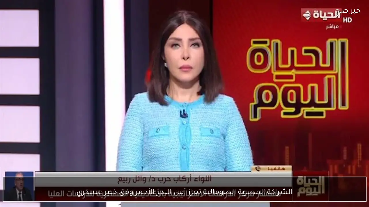 الشراكة المصرية الصومالية تعزز أمن البحر الأحمر وفق خبير عسكري