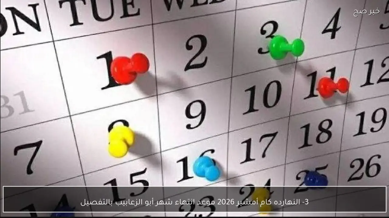 النهارده كام أمشير 2026 موعد انتهاء شهر أبو الزعابيب بالتفصيل