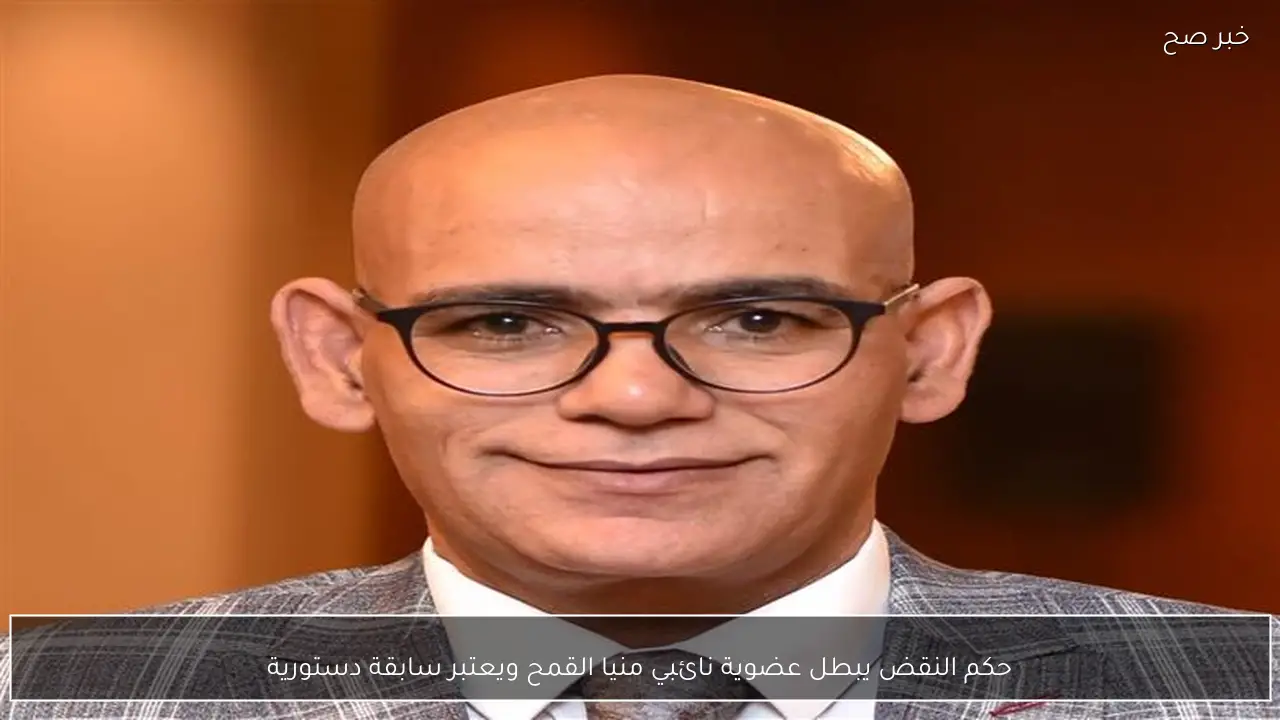 حكم النقض يبطل عضوية نائبي منيا القمح ويعتبر سابقة دستورية