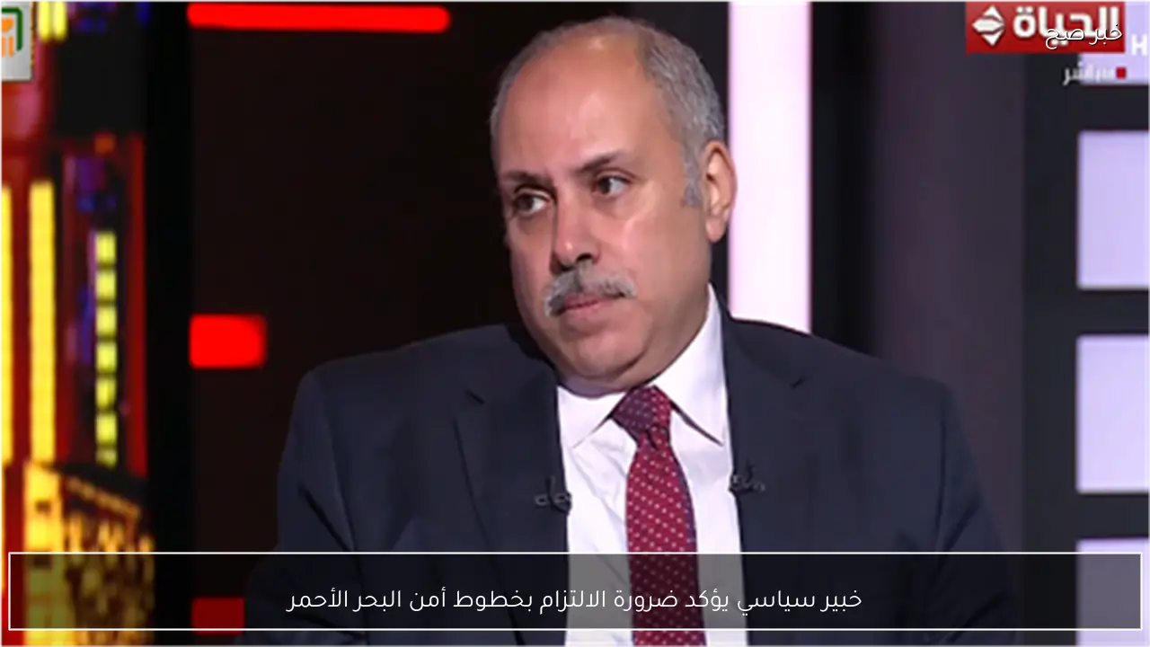 خبير سياسي يؤكد ضرورة الالتزام بخطوط أمن البحر الأحمر