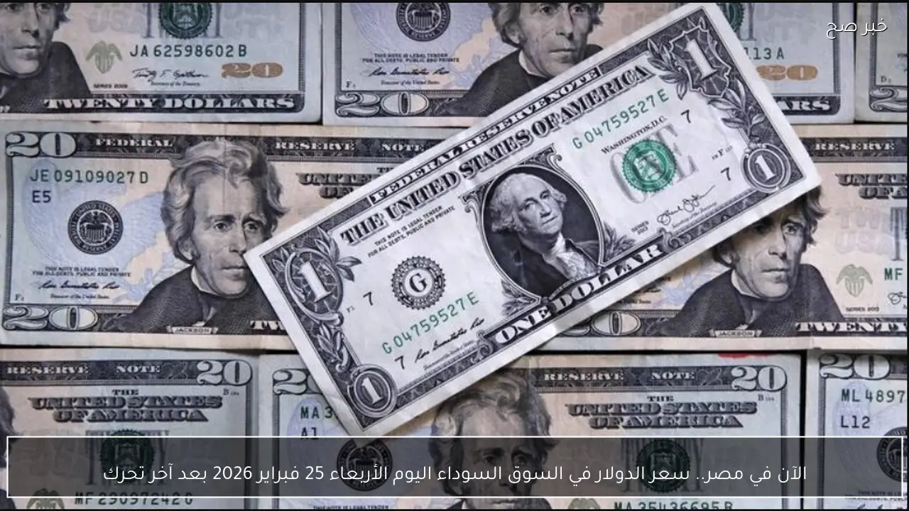 الآن في مصر.. سعر الدولار في السوق السوداء اليوم الأربعاء 25 فبراير 2026 بعد آخر تحرك