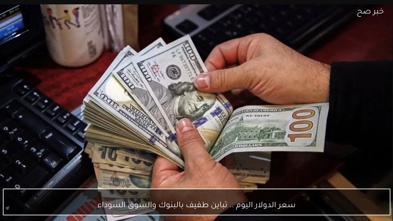 سعر الدولار اليوم .. تباين طفيف بالبنوك والسوق السوداء