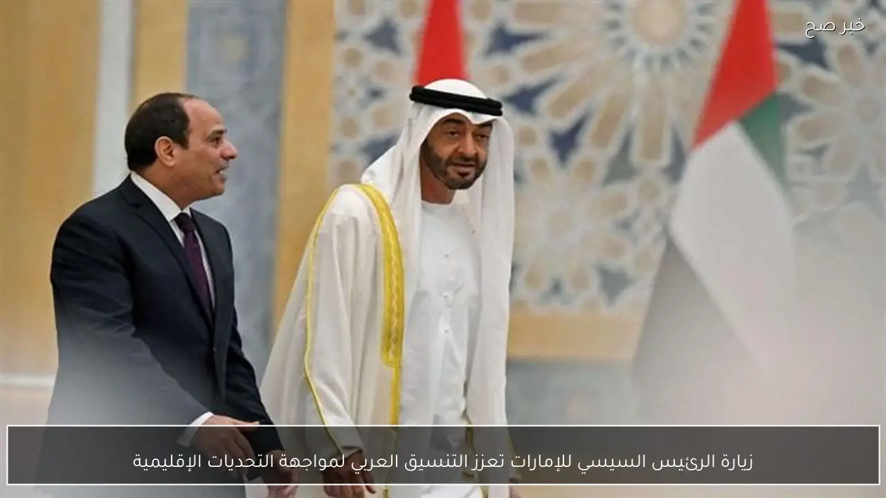 زيارة الرئيس السيسي للإمارات تعزز التنسيق العربي لمواجهة التحديات الإقليمية