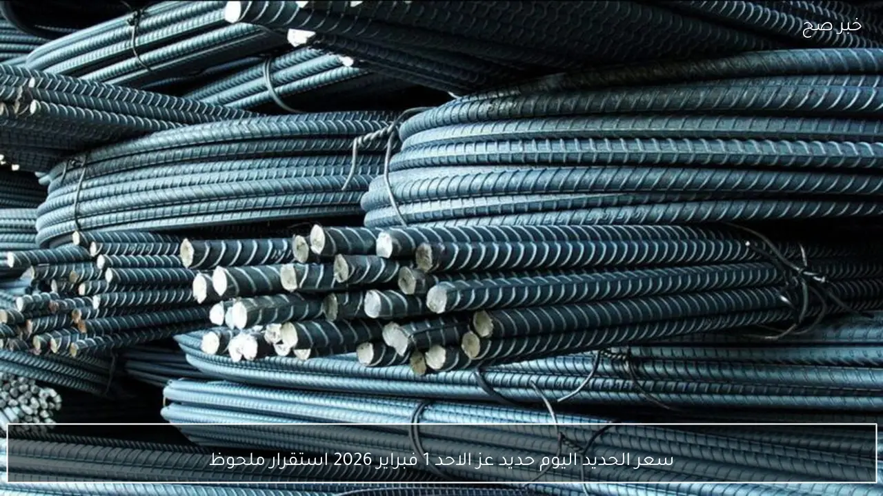 سعر الحديد اليوم حديد عز الاحد 1 فبراير 2026 استقرار ملحوظ