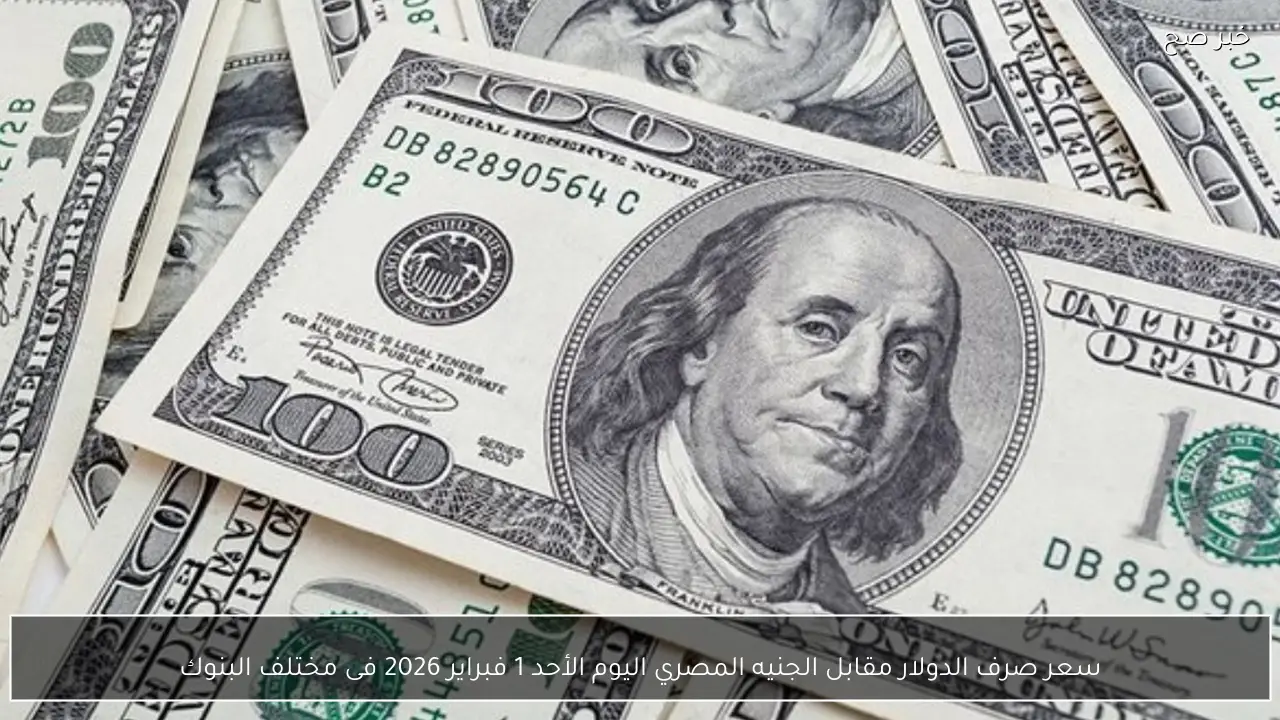سعر صرف الدولار مقابل الجنيه المصري اليوم الأحد 1 فبراير 2026 فى مختلف البنوك