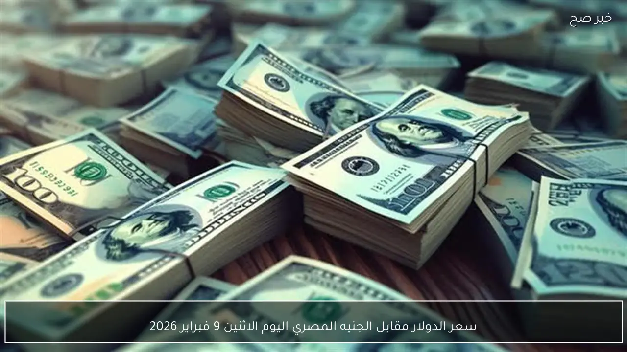 سعر الدولار مقابل الجنيه المصري اليوم الاثنين 9 فبراير 2026