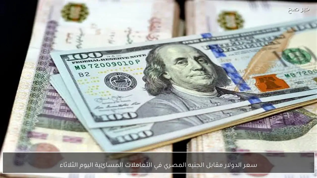 سعر الدولار مقابل الجنيه المصري في التعاملات المسائية اليوم الثلاثاء