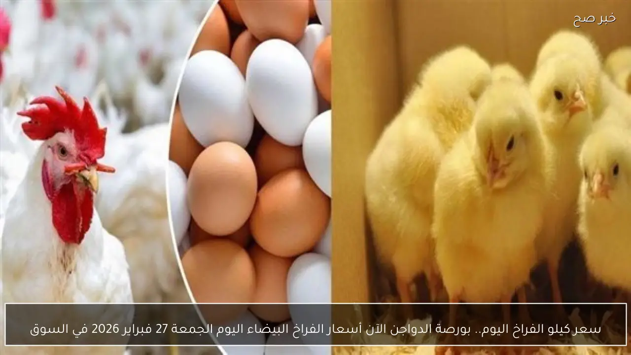 سعر كيلو الفراخ اليوم.. بورصة الدواجن الآن أسعار الفراخ البيضاء اليوم الجمعة 27 فبراير 2026 في السوق