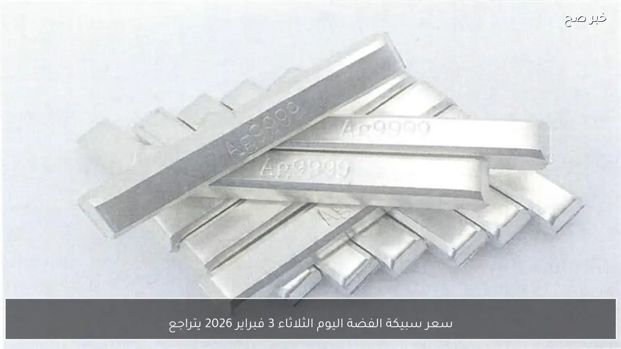 سعر سبيكة الفضة اليوم الثلاثاء 3 فبراير 2026 يتراجع