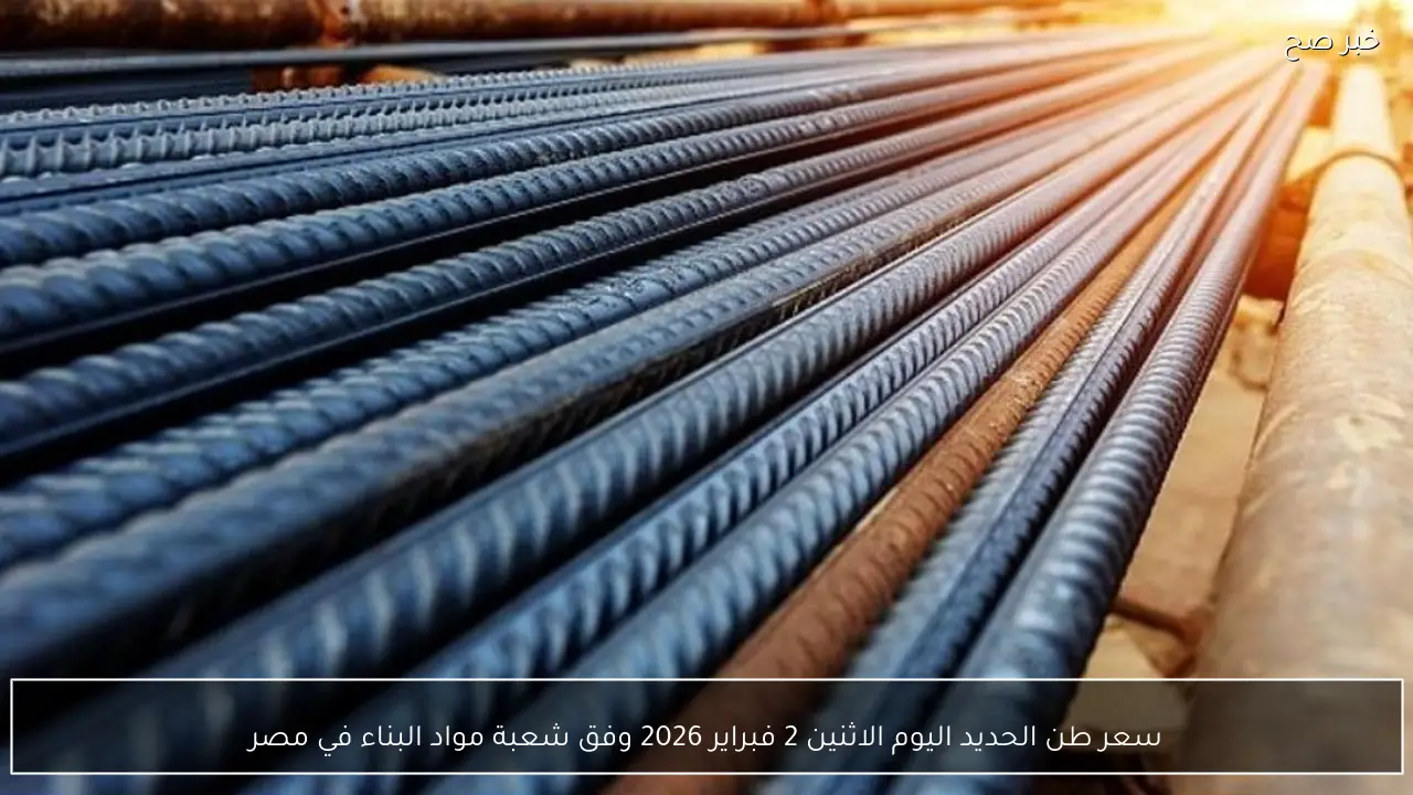 سعر طن الحديد اليوم الاثنين 2 فبراير 2026 وفق شعبة مواد البناء في مصر
