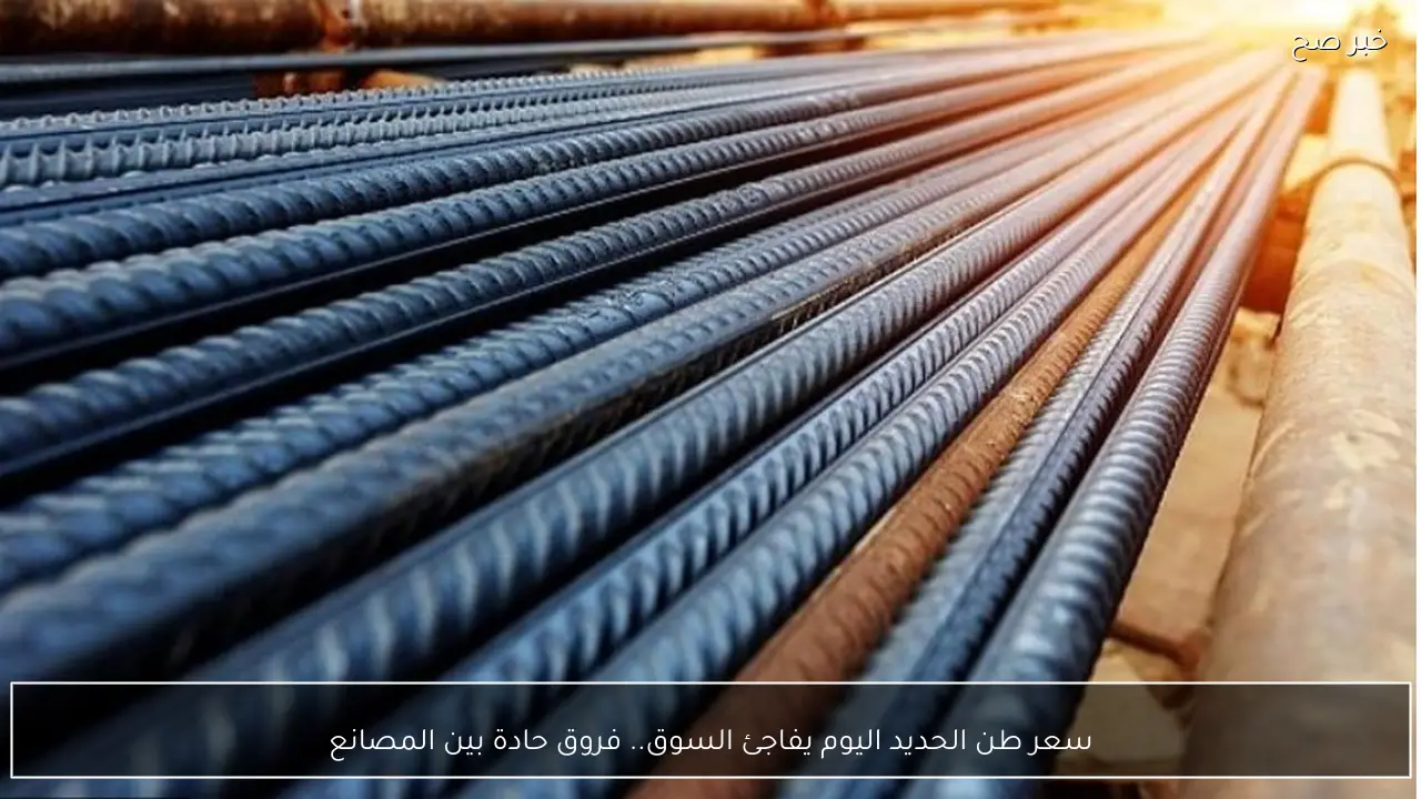 سعر طن الحديد اليوم يفاجئ السوق.. فروق حادة بين المصانع