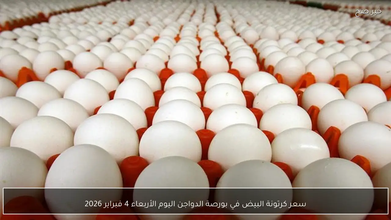سعر كرتونة البيض في بورصة الدواجن اليوم الأربعاء 4 فبراير 2026