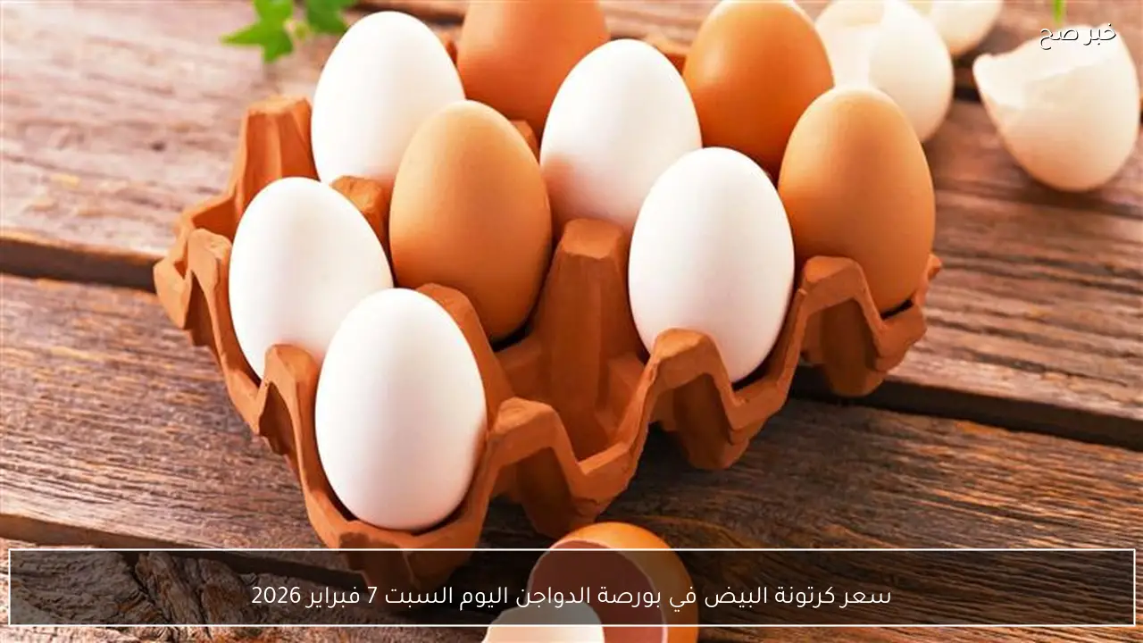 سعر كرتونة البيض في بورصة الدواجن اليوم السبت 7 فبراير 2026