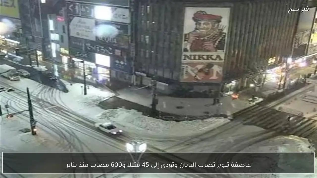 عاصفة ثلوج تضرب اليابان وتؤدي إلى 45 قتيلا و600 مصاب منذ يناير