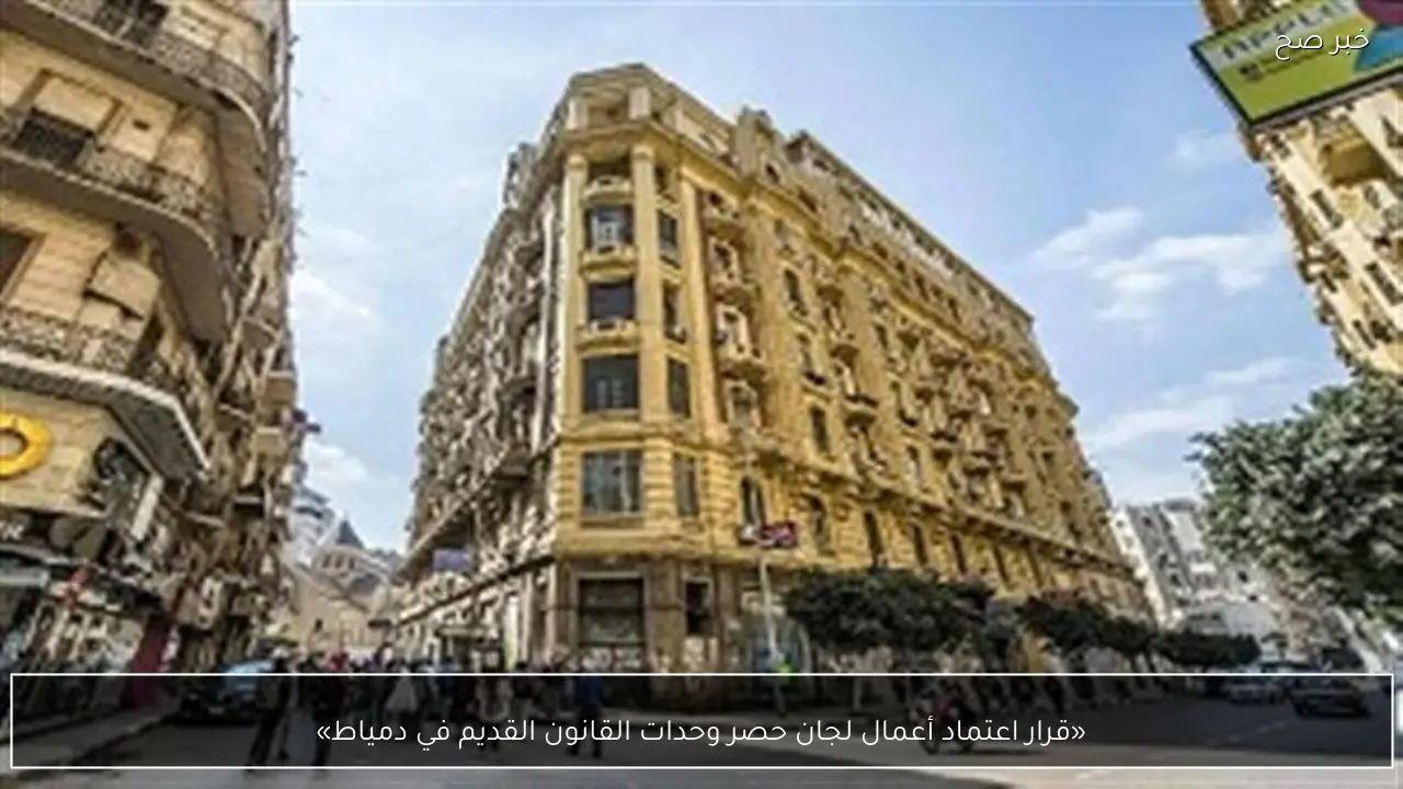 «قرار اعتماد أعمال لجان حصر وحدات القانون القديم في دمياط»