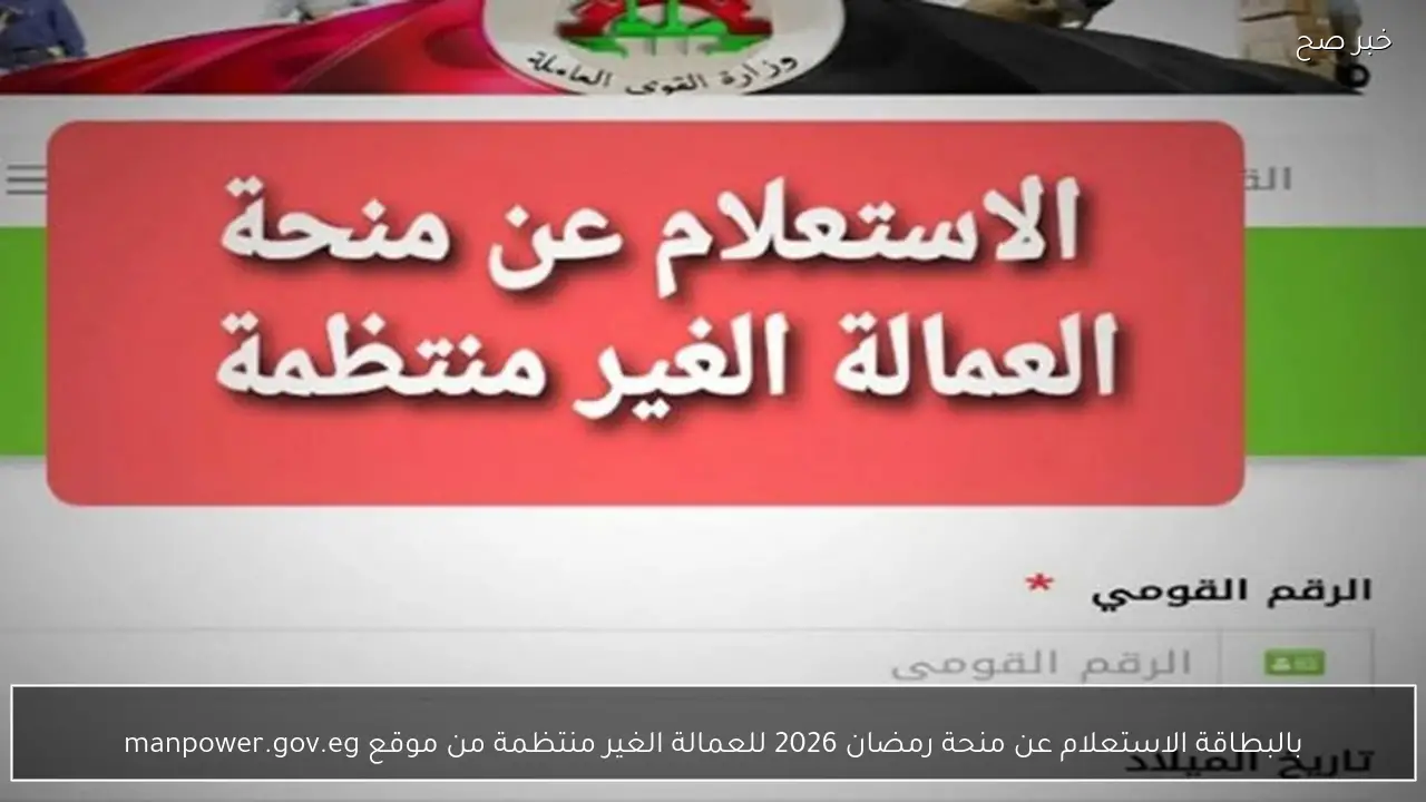 عبر وزارة العمل.. الاستعلام عن منحة العمالة غير المنتظمة 2026 وموعد صرفها