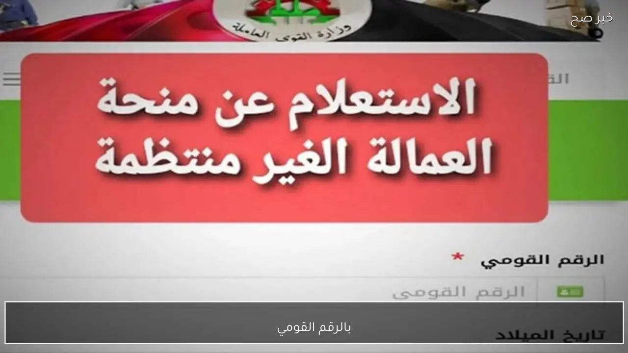 بالرقم القومي الان الاستعلام عن منحة العمالة الغير منتظمة لشهر رمضان 2026 من موقع الوزارة الرسمي