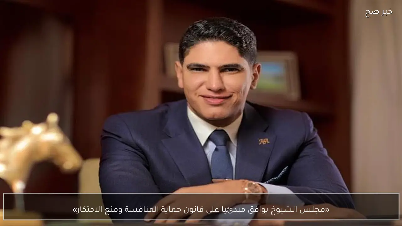 «مجلس الشيوخ يوافق مبدئيا على قانون حماية المنافسة ومنع الاحتكار»