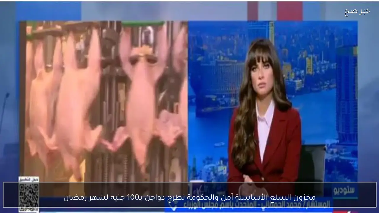 مخزون السلع الأساسية آمن والحكومة تطرح دواجن بـ100 جنيه لشهر رمضان